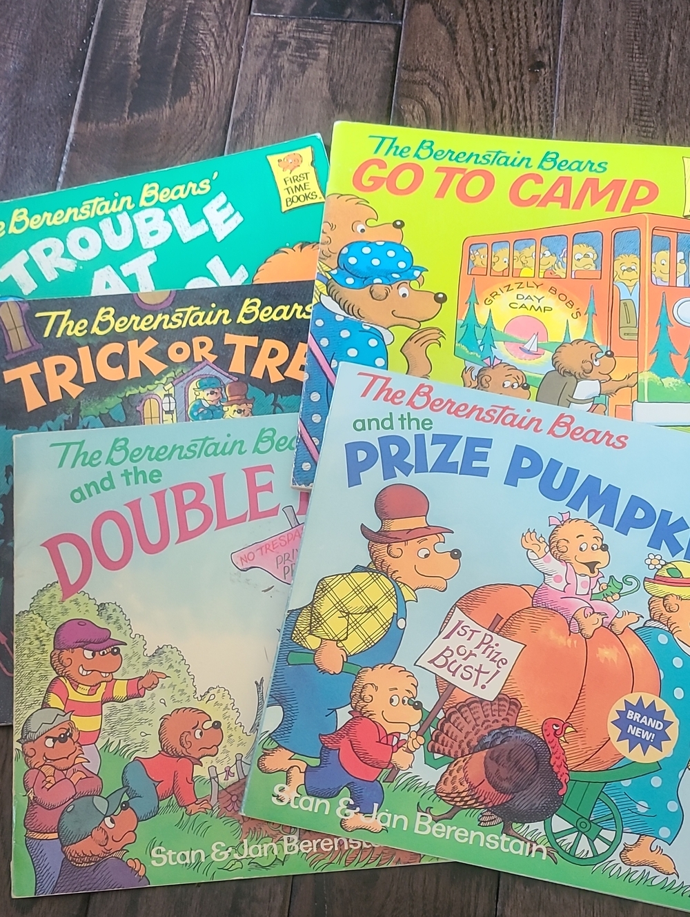 Vintage 1990s Berenstain Bears' Books - Collection Of 5